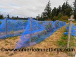 Big Bug (Vineyard) Netting Application