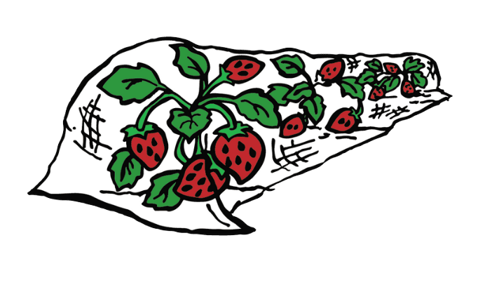 Deer & Bird Netting Application