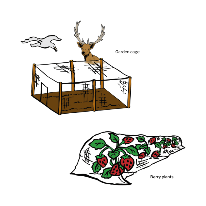 deer and bird netting plastic deer netting plastic bird netting illustration garden cage berry bush
