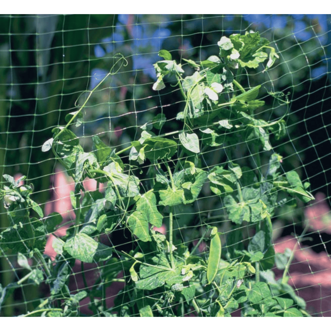green garden netting garden net plastic garden netting peas vines pea netting