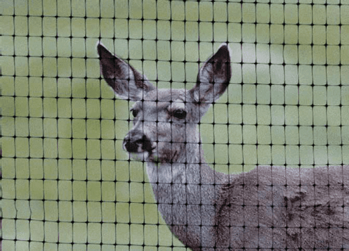 Heavy Duty Deer Fence