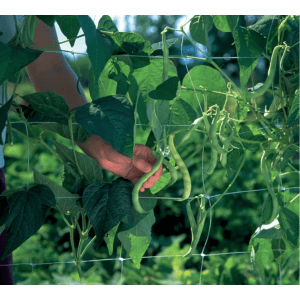 trellis net plant support trellis netting pea vine plant