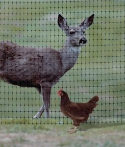 Deer & Poultry Fencing