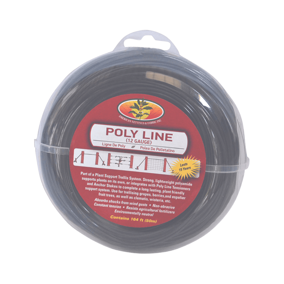 Poly Line