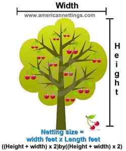 how to measure tree netting