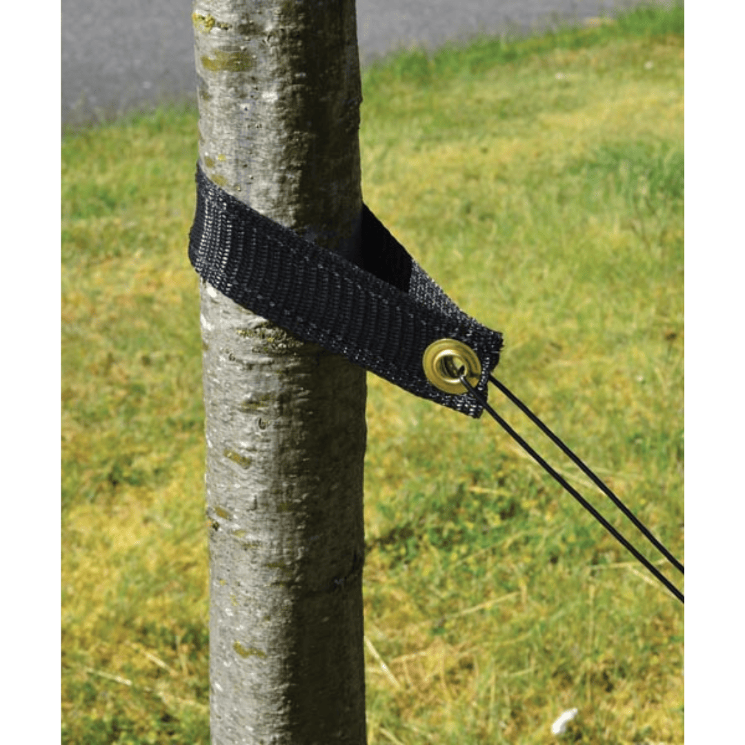 Tree Products Tree Support Straps