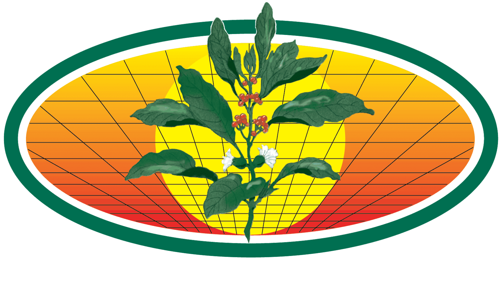 American Nettings and Fabric