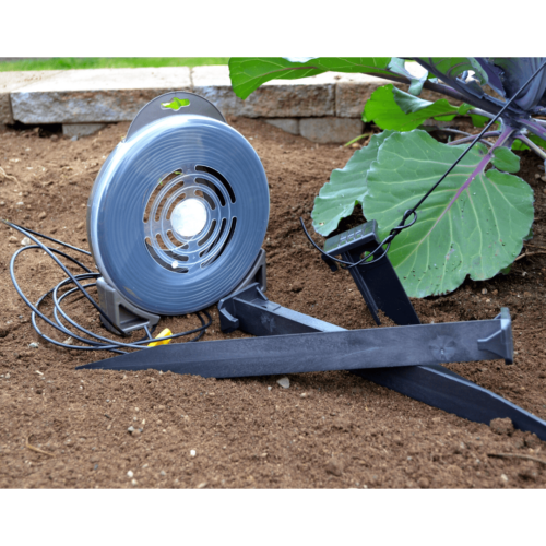 anchor stakes with poly line on dirt leaf background