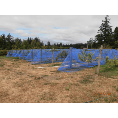 big bug netting bug netting plastic bug netting insect net insect screen bug mesh insect mesh vineyard rows