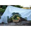 bug out garden insect screen draped over basket full of vegetables