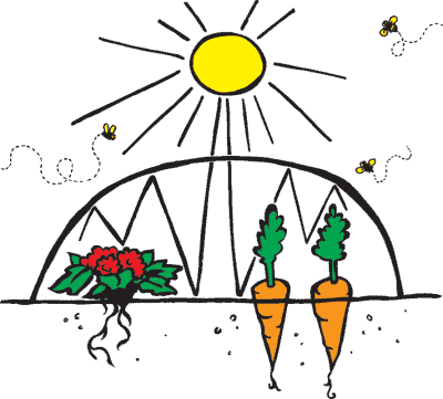 Crop Cover