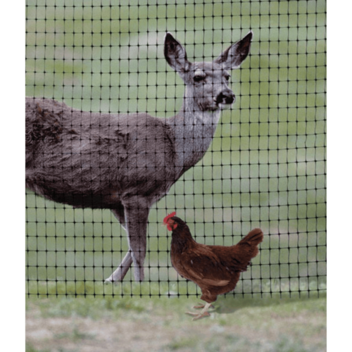 deer and chicken poultry deer fencing chicken fencing poultry fencing plastic poultry netting plastic poultry fence plastic poultry fencing plastic deer fencing plastic deer fence plastic deer net plastic chicken wire