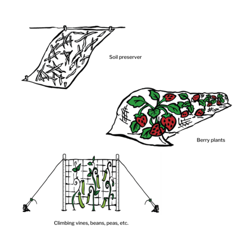 soil preserver berry plants trellis system garden net garden netting green plastic garden netting uses