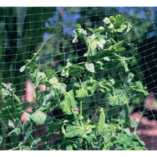 green garden netting garden net plastic garden netting peas vines pea netting