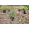 jute erosion control fabric with plants in pots and planted in fabric