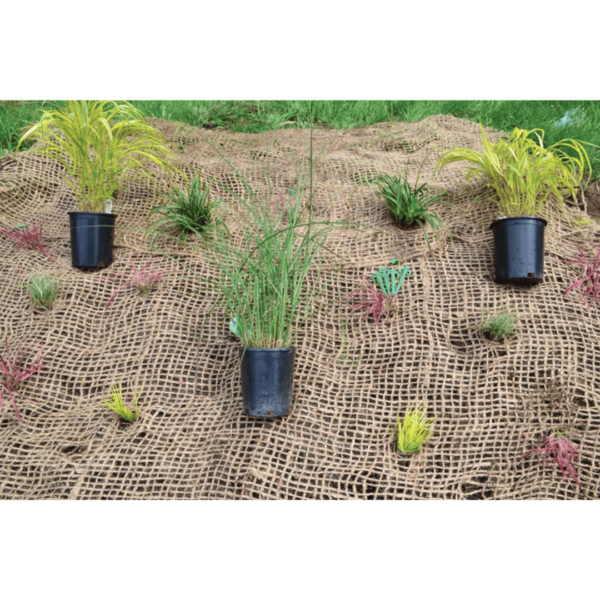 jute erosion control fabric with plants in pots and planted in fabric