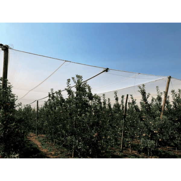 orchard netting anti hail netting over orchard rows of trees