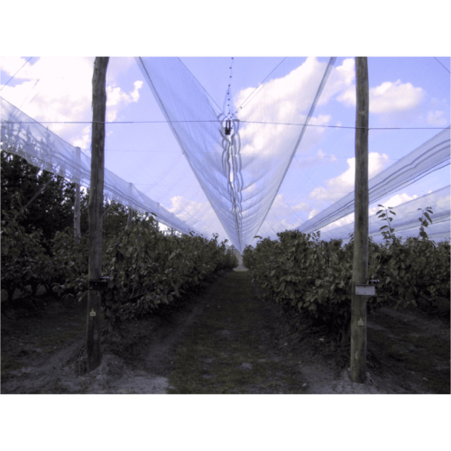 orchard hail netting anti hail over orchard rows hail protection netting