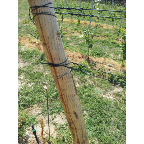 poly line agro line attached to pole using knots on grass
