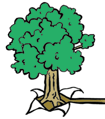 Tree Circle Illustration
