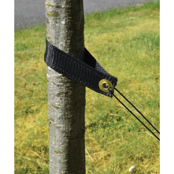 tree products tree support straps trunk suppor