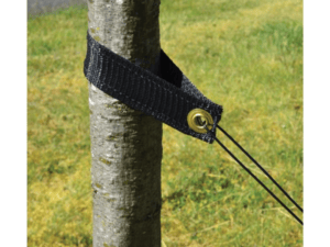 tree support strap on trunk grass background