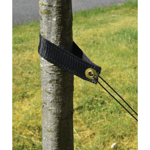 tree support strap on trunk grass background