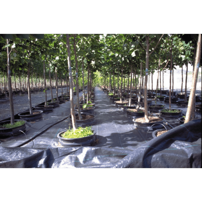 woven ground cover fabric commercial grade in orchard