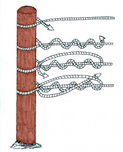 agro line illustration of installation with knots