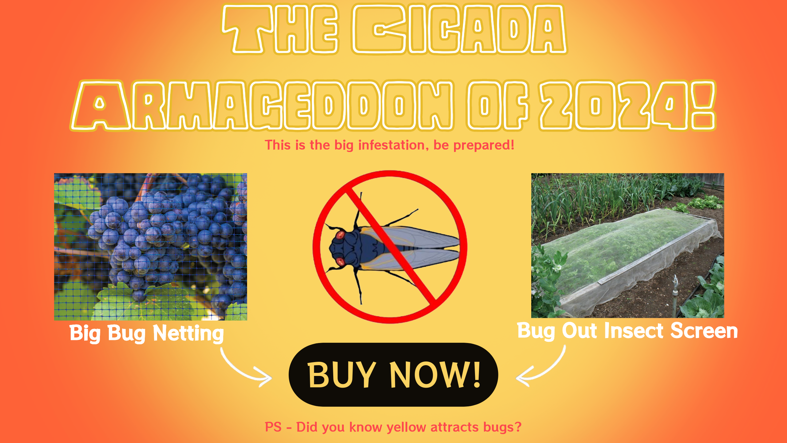 Cicada Armageddon Banner