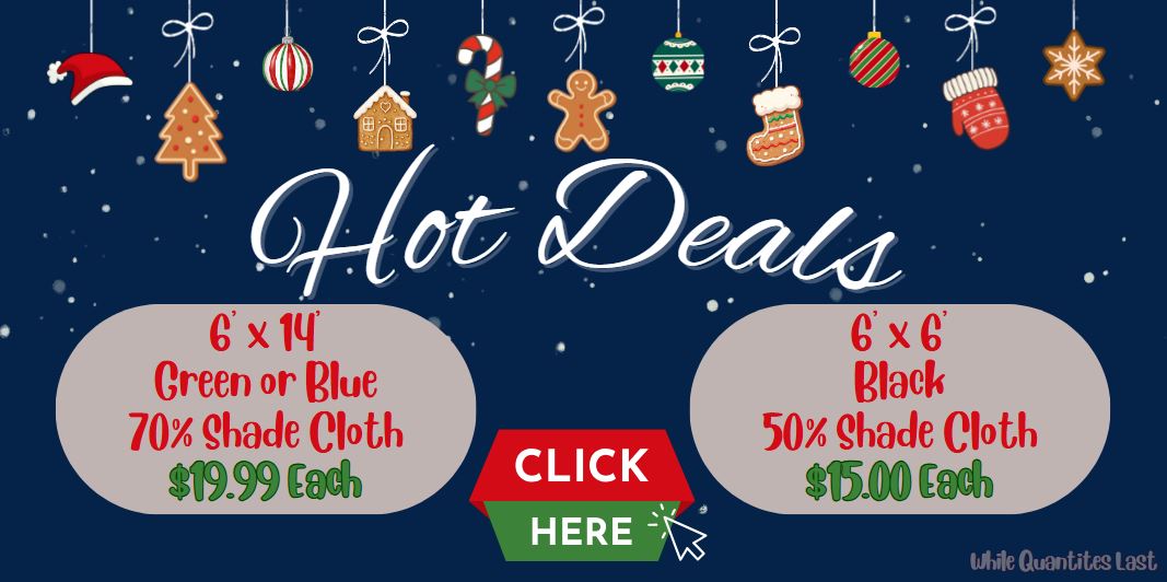 Hot Deals