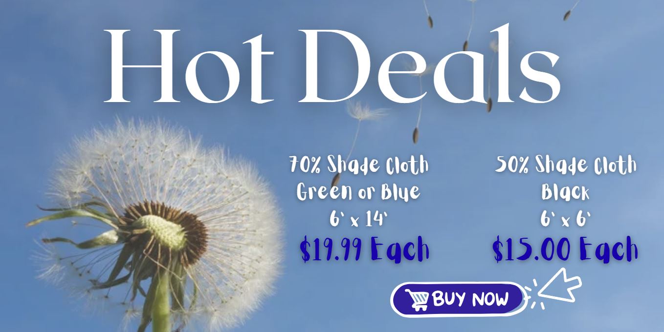 Hot Deals