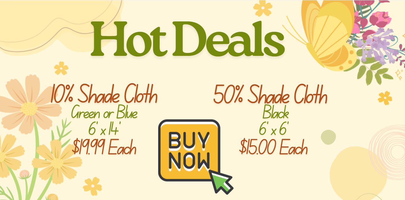 Spring hot deals