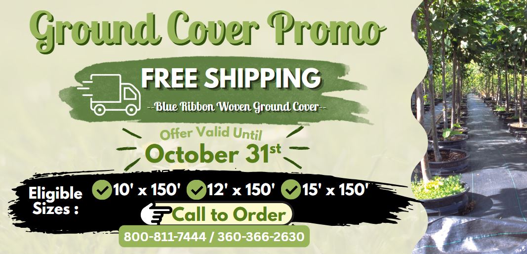 Ground Cover FREE SHIPPING Promo